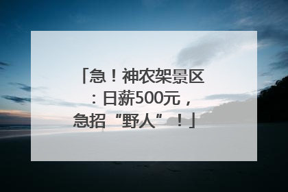 急！神农架景区：日薪500元，急招“野人”！