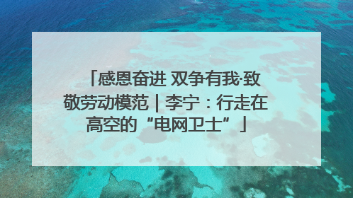 感恩奋进 双争有我·致敬劳动模范｜李宁：行走在高空的“电网卫士”