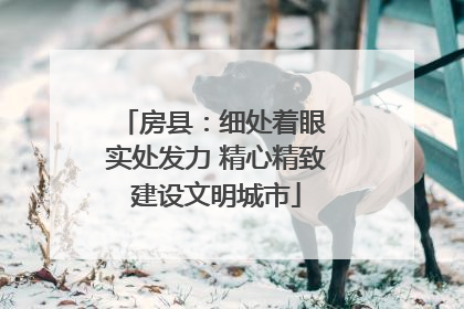 房县：细处着眼 实处发力 精心精致建设文明城市