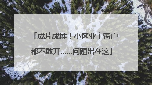 成片成堆！小区业主窗户都不敢开……问题出在这