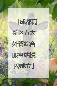 成都高新区五大外贸综合服务站授牌成立