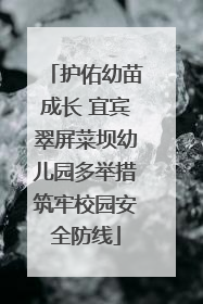 护佑幼苗成长 宜宾翠屏菜坝幼儿园多举措筑牢校园安全防线