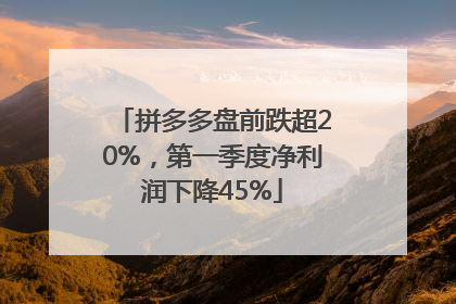 拼多多盘前跌超20%，第一季度净利润下降45%