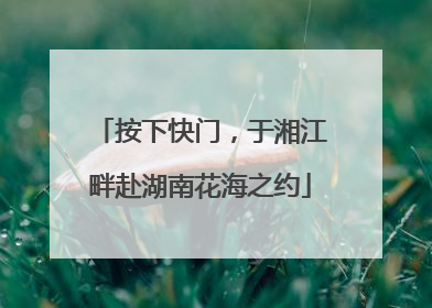 按下快门，于湘江畔赴湖南花海之约