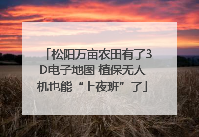 松阳万亩农田有了3D电子地图 植保无人机也能“上夜班”了
