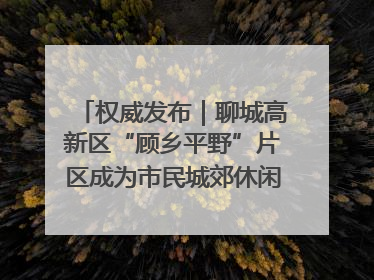 权威发布｜聊城高新区“顾乡平野”片区成为市民城郊休闲全新目的地