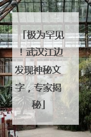 极为罕见！武汉江边发现神秘文字，专家揭秘