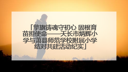 擎旗铸魂守初心 固根育苗担使命——天长市炳辉小学与萧县师范学校附属小学结对共建活动纪实