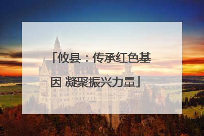 攸县：传承红色基因 凝聚振兴力量