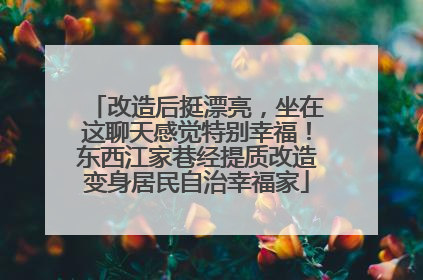 改造后挺漂亮，坐在这聊天感觉特别幸福！东西江家巷经提质改造变身居民自治幸福家