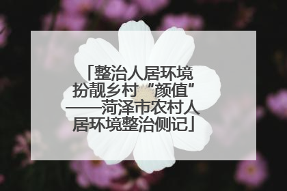 整治人居环境 扮靓乡村“颜值”——菏泽市农村人居环境整治侧记