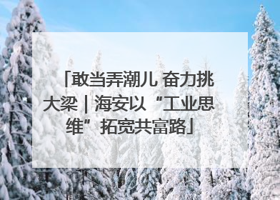 敢当弄潮儿 奋力挑大梁｜海安以“工业思维”拓宽共富路