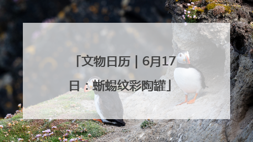文物日历｜6月17日：蜥蜴纹彩陶罐