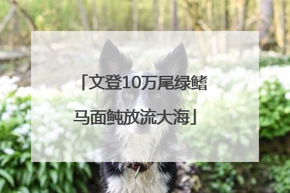 文登10万尾绿鳍马面鲀放流大海