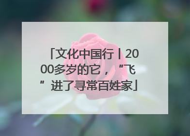 文化中国行丨2000多岁的它，“飞”进了寻常百姓家