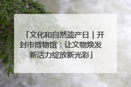 文化和自然遗产日｜开封市博物馆：让文物焕发新活力绽放新光彩