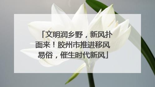 文明润乡野，新风扑面来！胶州市推进移风易俗，催生时代新风