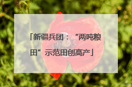 新疆兵团：“两吨粮田”示范田创高产