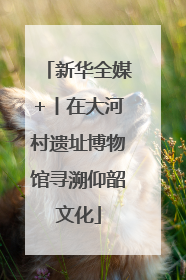 新华全媒+丨在大河村遗址博物馆寻溯仰韶文化