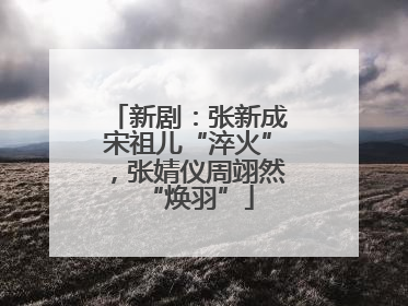 新剧:张新成宋祖儿“淬火”,张婧仪周翊然“焕羽”