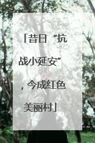 昔日“抗战小延安”，今成红色美丽村