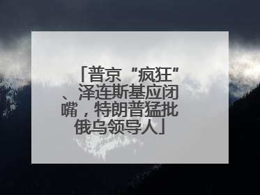 普京“疯狂”、泽连斯基应闭嘴，特朗普猛批俄乌领导人