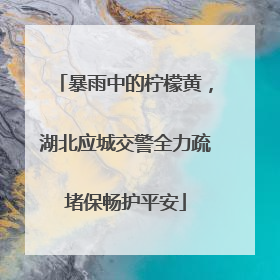 暴雨中的柠檬黄，湖北应城交警全力疏堵保畅护平安