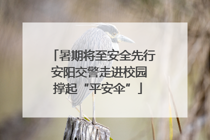暑期将至安全先行 安阳交警走进校园撑起“平安伞”