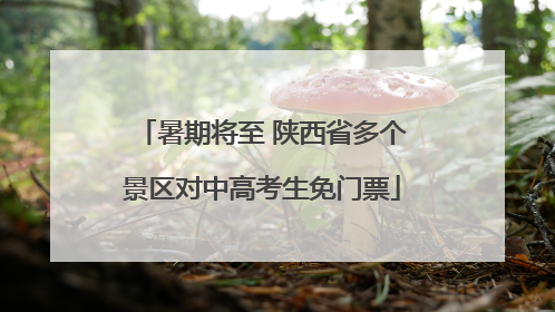 暑期将至 陕西省多个景区对中高考生免门票