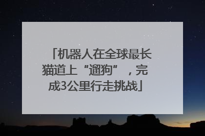 机器人在全球最长猫道上“遛狗”，完成3公里行走挑战