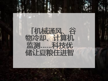 机械通风、谷物冷却、计算机监测……科技优储让夏粮住进智慧的“家”