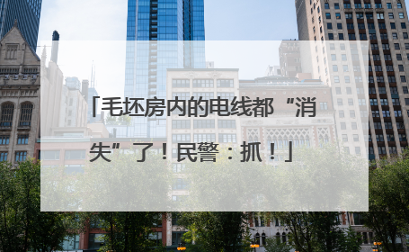 毛坯房内的电线都“消失”了！民警：抓！