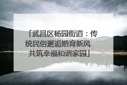 武昌区杨园街道：传统民俗邂逅婚育新风 共筑幸福和谐家园