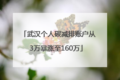 武汉个人碳减排账户从3万暴涨至160万