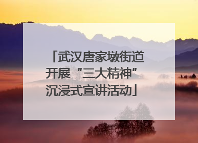 武汉唐家墩街道开展“三大精神”沉浸式宣讲活动