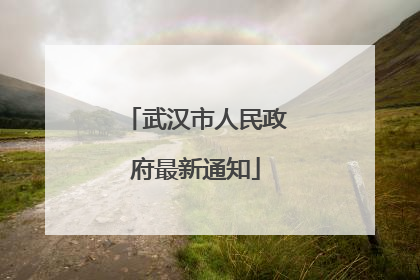 武汉市人民政府最新通知