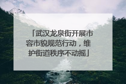 武汉龙泉街开展市容市貌规范行动，维护街道秩序不动摇