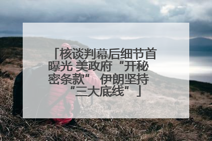 核谈判幕后细节首曝光 美政府“开秘密条款” 伊朗坚持“三大底线”