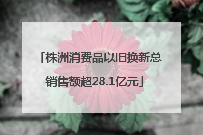 株洲消费品以旧换新总销售额超28.1亿元