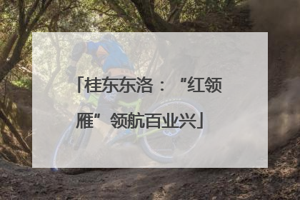 桂东东洛：“红领雁”领航百业兴