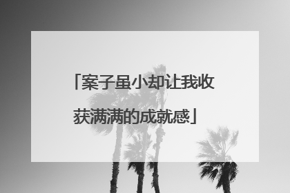 案子虽小却让我收获满满的成就感