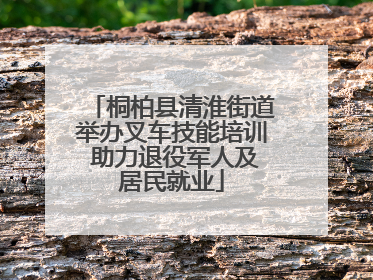 桐柏县清淮街道举办叉车技能培训 助力退役军人及居民就业