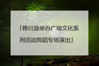 桦川县举办广场文化系列活动舞蹈专场演出