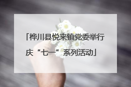 桦川县悦来镇党委举行庆“七一”系列活动