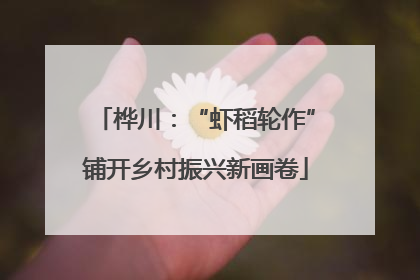 桦川：“虾稻轮作”铺开乡村振兴新画卷