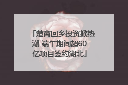 楚商回乡投资掀热潮 端午期间超60亿项目签约湖北