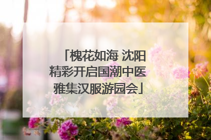 槐花如海 沈阳精彩开启国潮中医雅集汉服游园会
