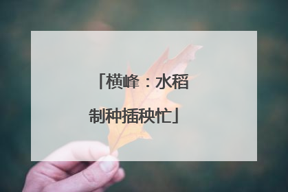 横峰：水稻制种插秧忙