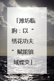 潍坊临朐：以“绣花功夫”赋能镇域蝶变