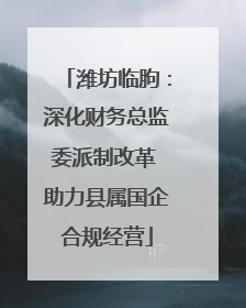 潍坊临朐：深化财务总监委派制改革 助力县属国企合规经营